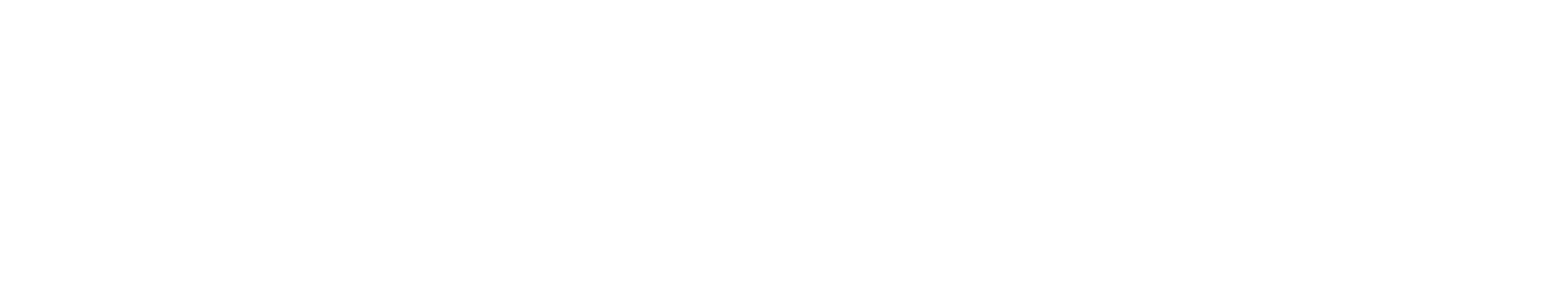Densicor
