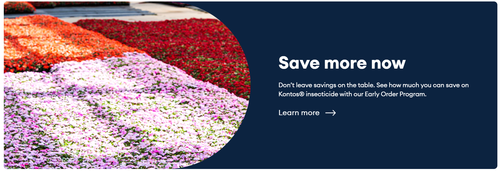 save more now