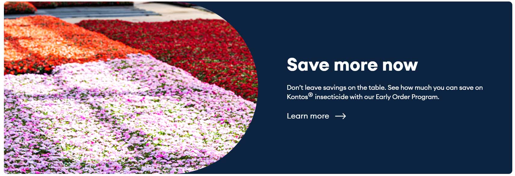 save more now
