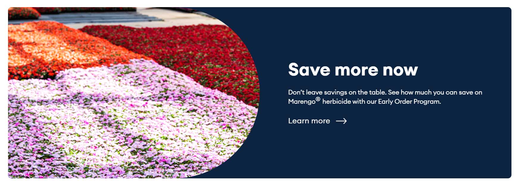 save more now